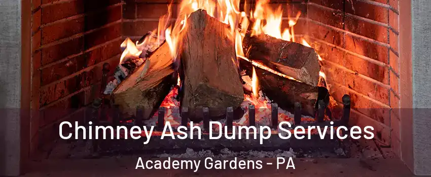Chimney Ash Dump Services Academy Gardens - PA