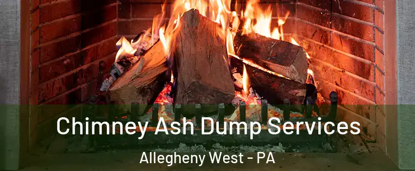 Chimney Ash Dump Services Allegheny West - PA