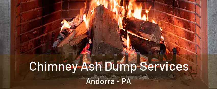 Chimney Ash Dump Services Andorra - PA