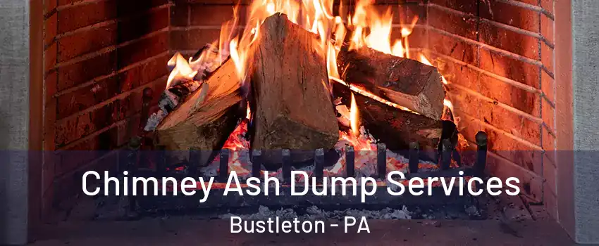 Chimney Ash Dump Services Bustleton - PA