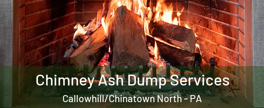 Chimney Ash Dump Services Callowhill/Chinatown North - PA