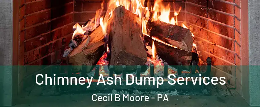 Chimney Ash Dump Services Cecil B Moore - PA