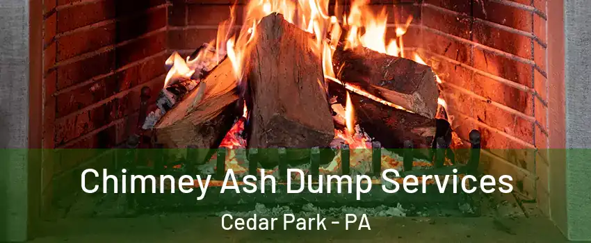 Chimney Ash Dump Services Cedar Park - PA