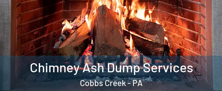 Chimney Ash Dump Services Cobbs Creek - PA