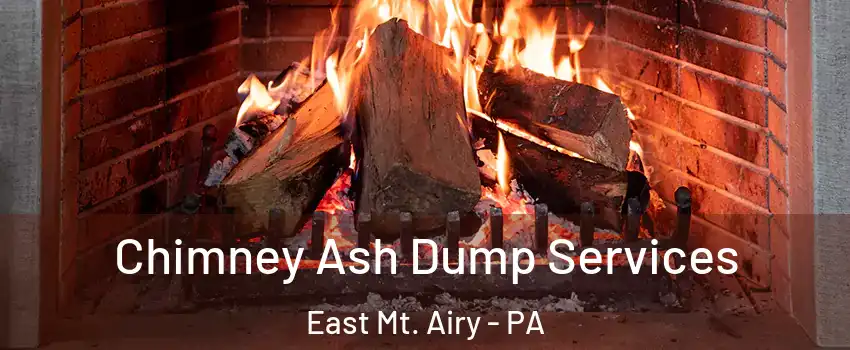 Chimney Ash Dump Services East Mt. Airy - PA