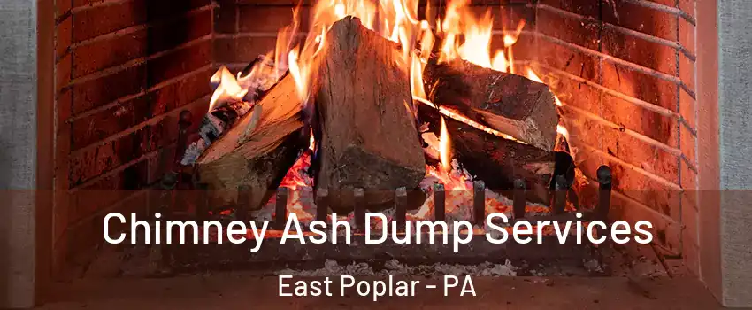 Chimney Ash Dump Services East Poplar - PA