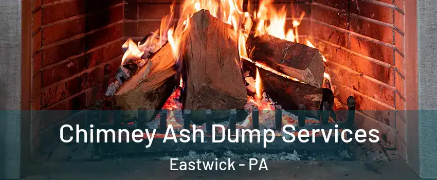 Chimney Ash Dump Services Eastwick - PA