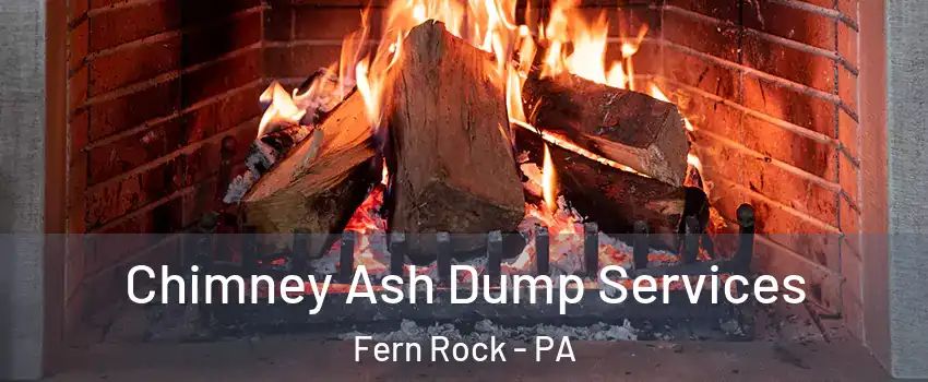 Chimney Ash Dump Services Fern Rock - PA