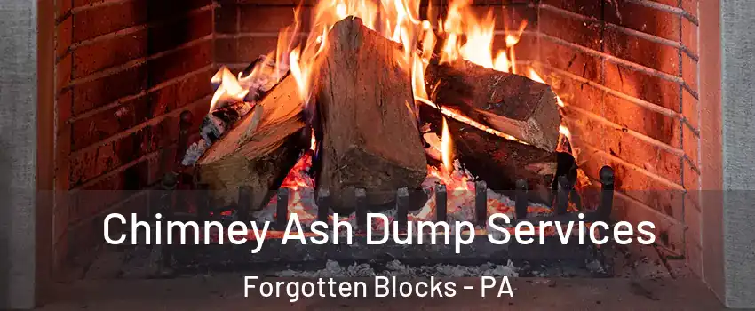 Chimney Ash Dump Services Forgotten Blocks - PA