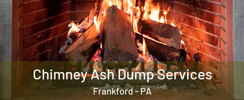 Chimney Ash Dump Services Frankford - PA