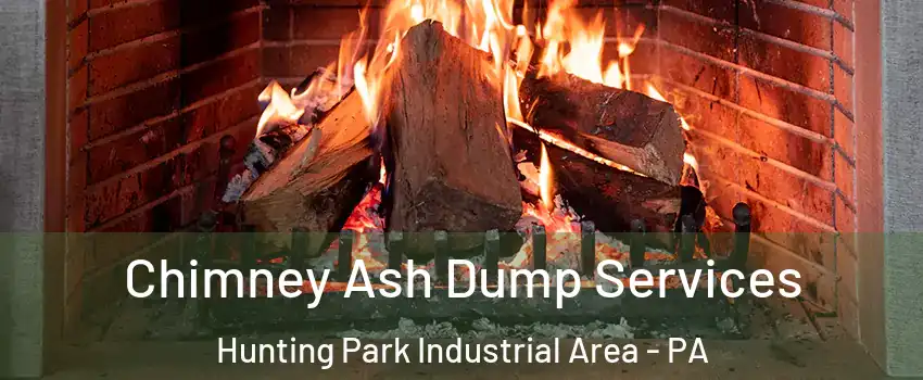 Chimney Ash Dump Services Hunting Park Industrial Area - PA