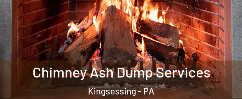 Chimney Ash Dump Services Kingsessing - PA