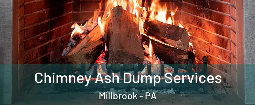 Chimney Ash Dump Services Millbrook - PA