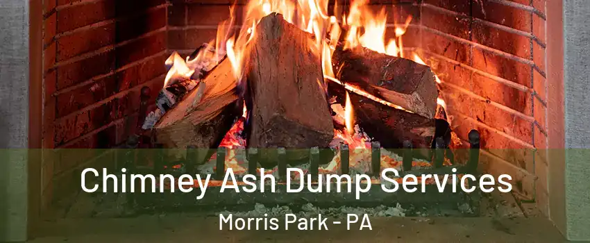 Chimney Ash Dump Services Morris Park - PA
