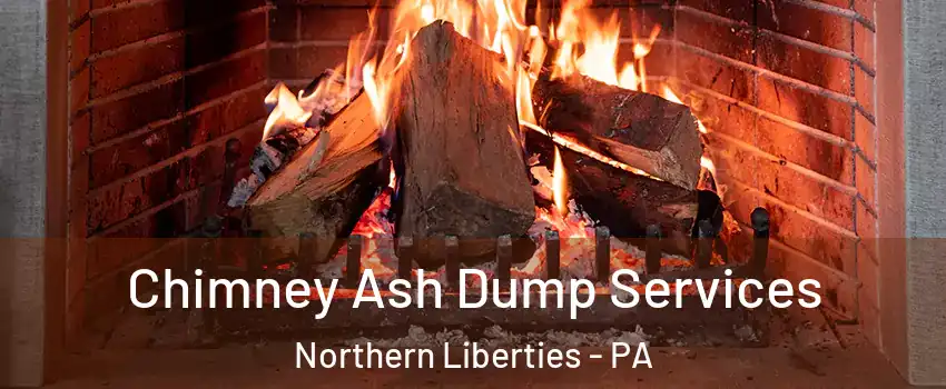 Chimney Ash Dump Services Northern Liberties - PA