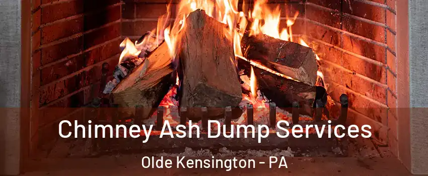 Chimney Ash Dump Services Olde Kensington - PA