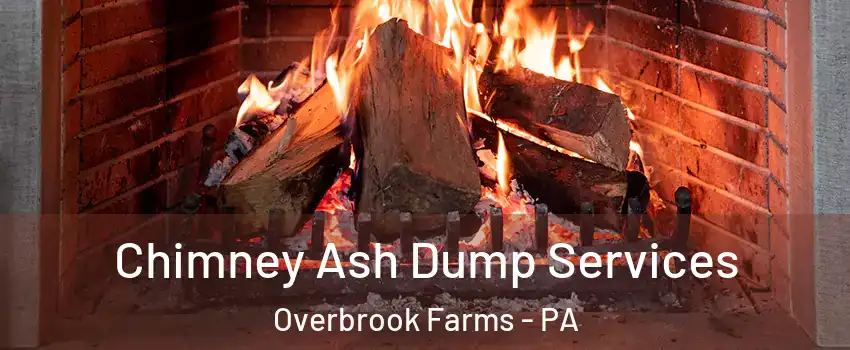 Chimney Ash Dump Services Overbrook Farms - PA
