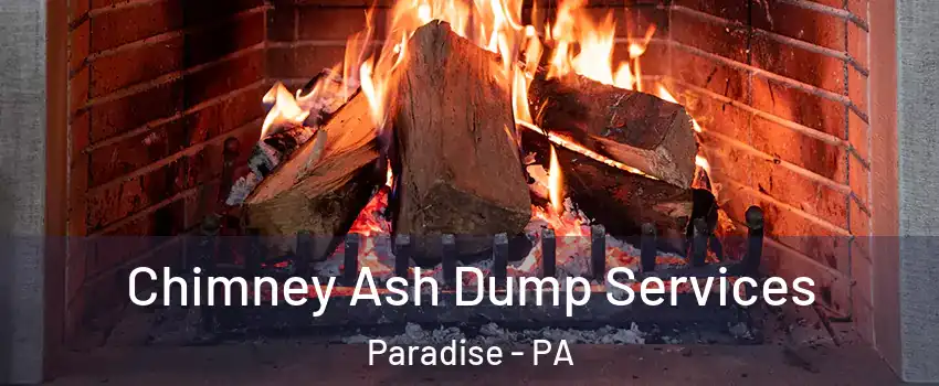 Chimney Ash Dump Services Paradise - PA