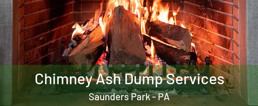 Chimney Ash Dump Services Saunders Park - PA