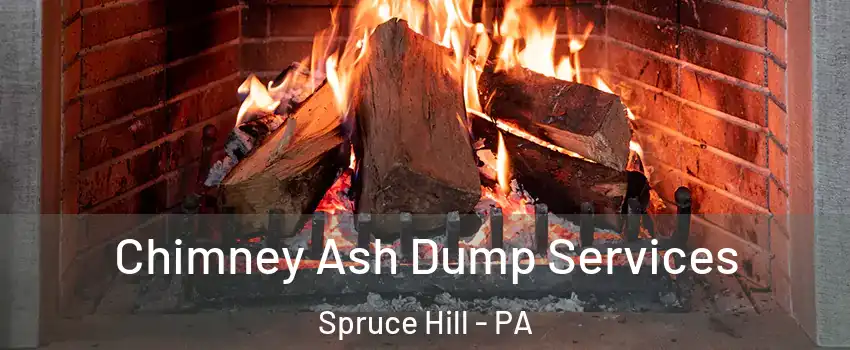 Chimney Ash Dump Services Spruce Hill - PA