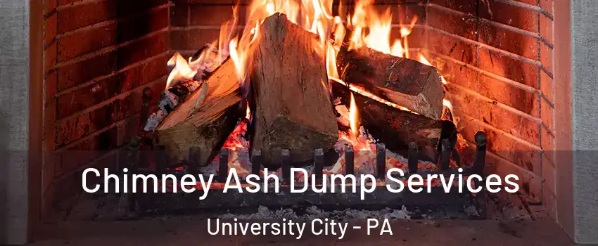 Chimney Ash Dump Services University City - PA