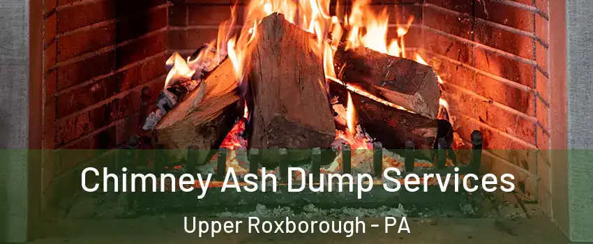 Chimney Ash Dump Services Upper Roxborough - PA
