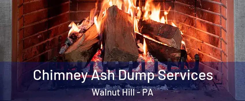 Chimney Ash Dump Services Walnut Hill - PA