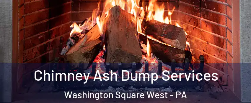 Chimney Ash Dump Services Washington Square West - PA
