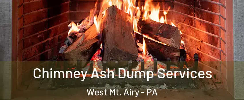 Chimney Ash Dump Services West Mt. Airy - PA