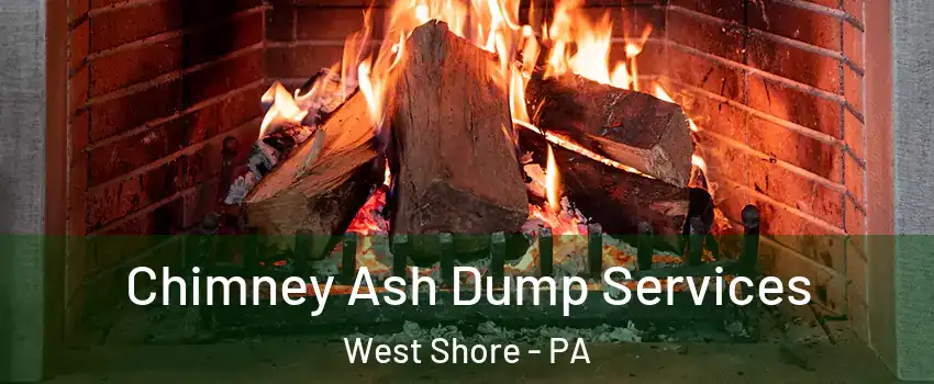 Chimney Ash Dump Services West Shore - PA