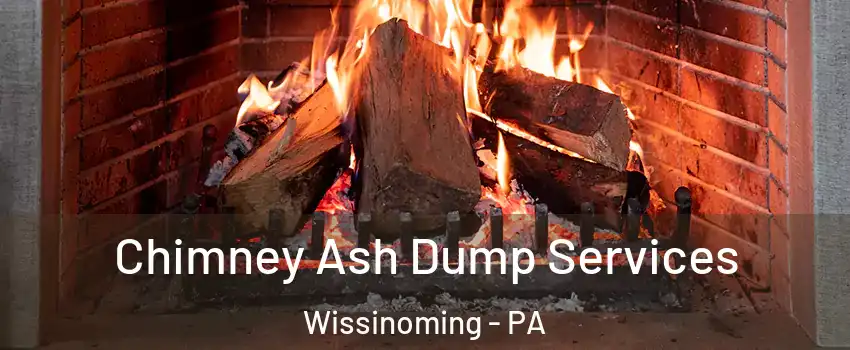 Chimney Ash Dump Services Wissinoming - PA