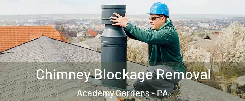 Chimney Blockage Removal Academy Gardens - PA
