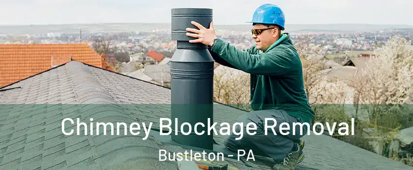 Chimney Blockage Removal Bustleton - PA