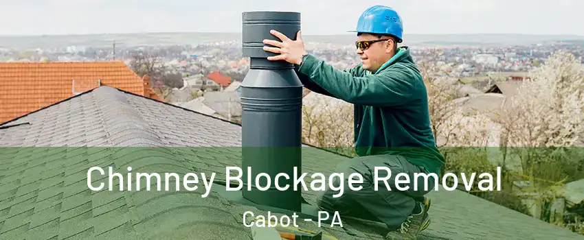 Chimney Blockage Removal Cabot - PA
