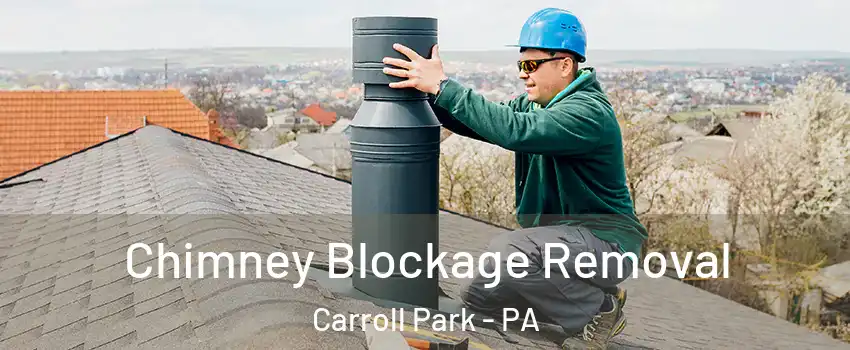 Chimney Blockage Removal Carroll Park - PA