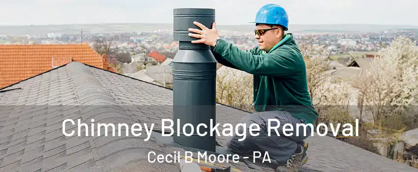Chimney Blockage Removal Cecil B Moore - PA