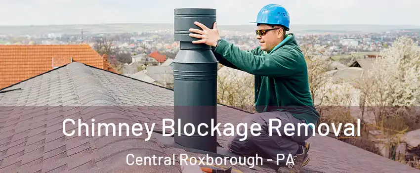 Chimney Blockage Removal Central Roxborough - PA