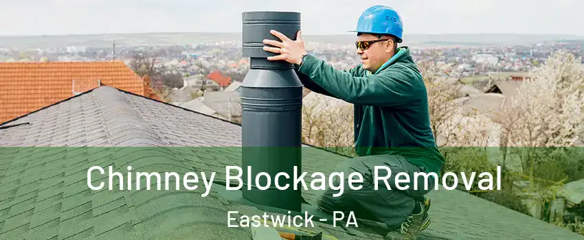 Chimney Blockage Removal Eastwick - PA