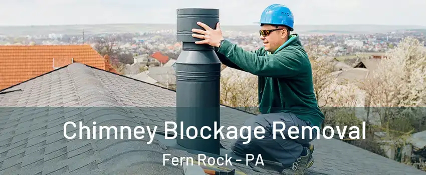 Chimney Blockage Removal Fern Rock - PA