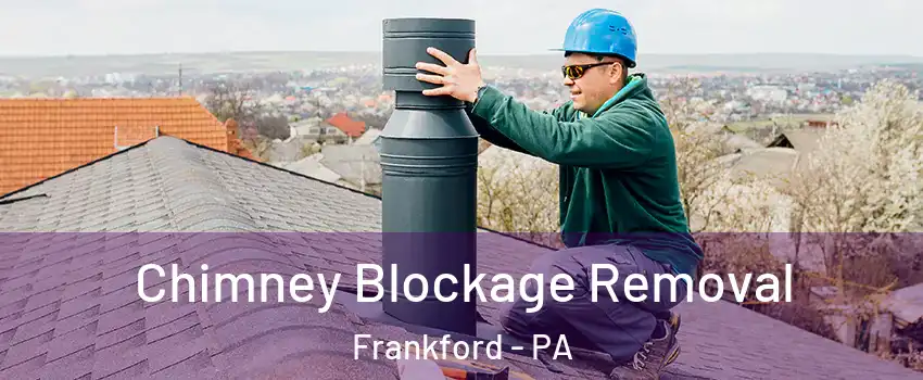 Chimney Blockage Removal Frankford - PA