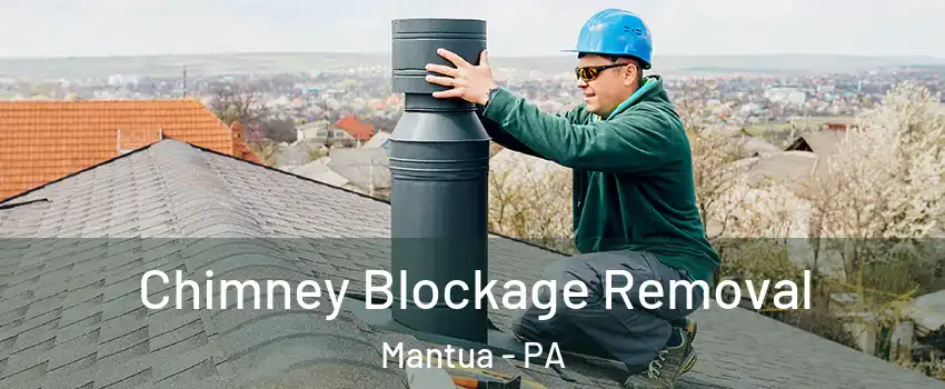 Chimney Blockage Removal Mantua - PA