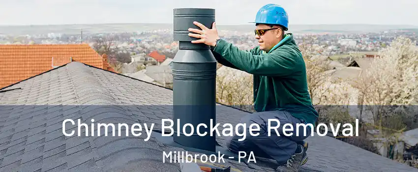 Chimney Blockage Removal Millbrook - PA