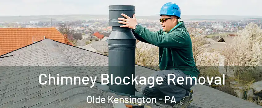 Chimney Blockage Removal Olde Kensington - PA