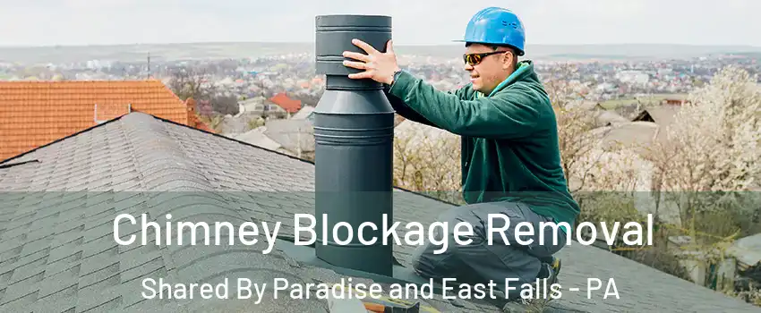 Chimney Blockage Removal Shared By Paradise and East Falls - PA