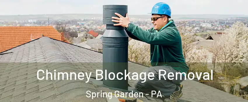 Chimney Blockage Removal Spring Garden - PA