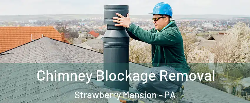 Chimney Blockage Removal Strawberry Mansion - PA