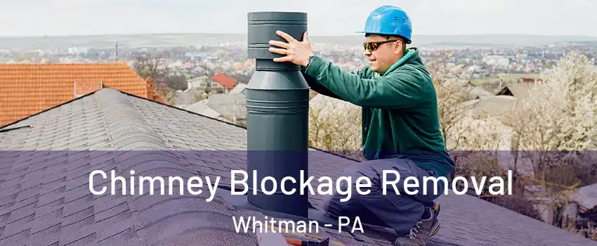 Chimney Blockage Removal Whitman - PA