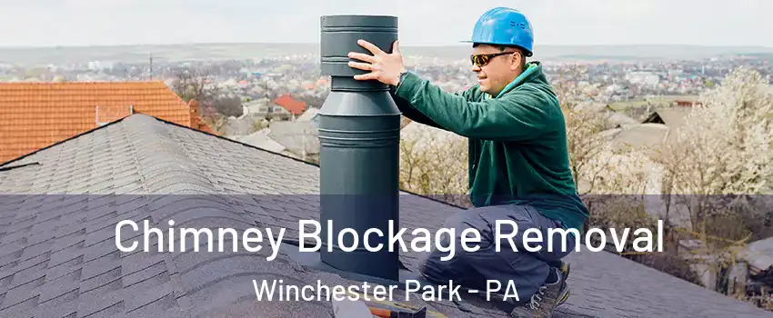 Chimney Blockage Removal Winchester Park - PA