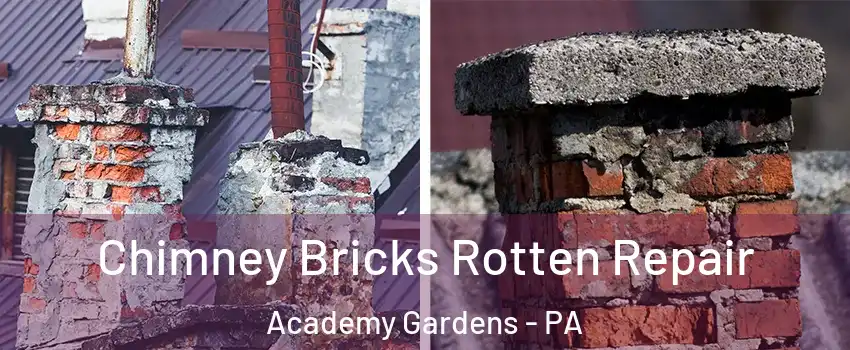 Chimney Bricks Rotten Repair Academy Gardens - PA
