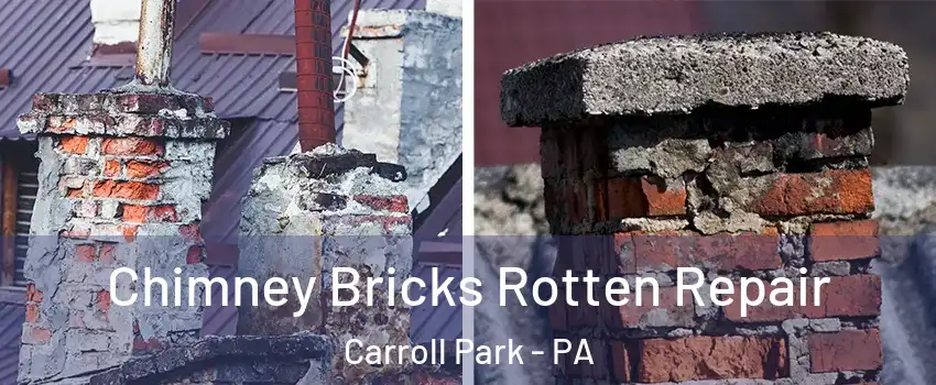 Chimney Bricks Rotten Repair Carroll Park - PA